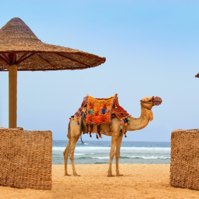 ankara-hareketli-pegasus-ile-kizildeniz-ruyasi-prestij-sharm-el sheikh-turu-3-gc-kapak.png